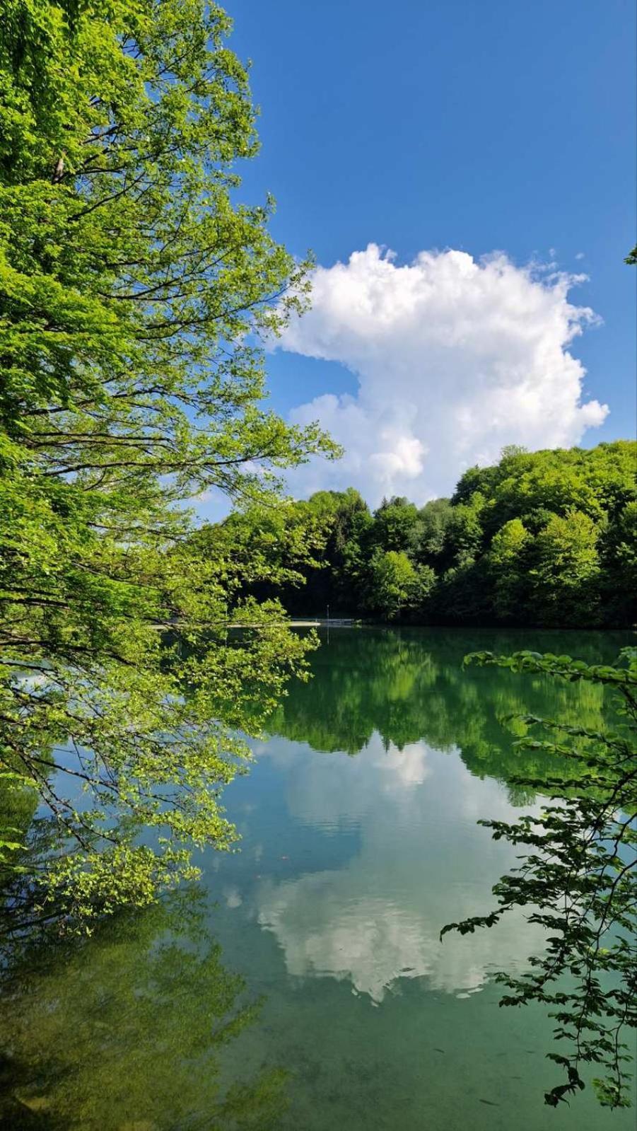 Apartmani Toki Balkana Mrkonjic Grad Esterno foto