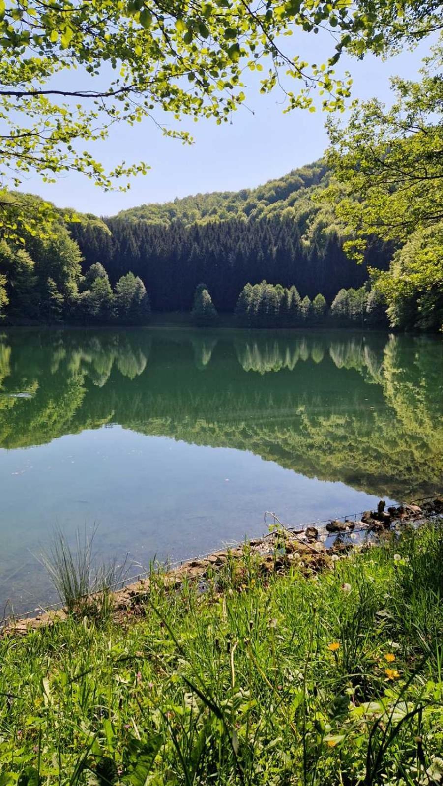 Apartmani Toki Balkana Mrkonjic Grad Esterno foto